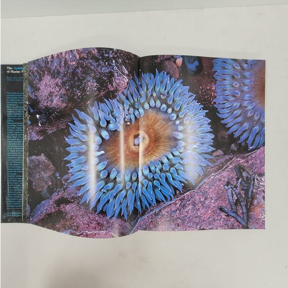 Audubon Society Marine Wildlife Book Les Line 1980‎ Coastal Nature Ocean Guide - Picture 9 of 12